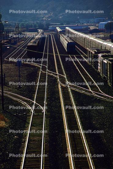 Rail Yard, Columbia River Basin, Shineing Railroad Tracks, 11 August 1991