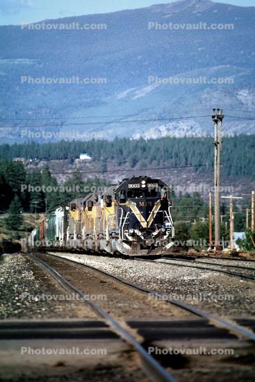 UP 9003, MPI, Union Pacific, Diesel Electric Locomotive, Truckee