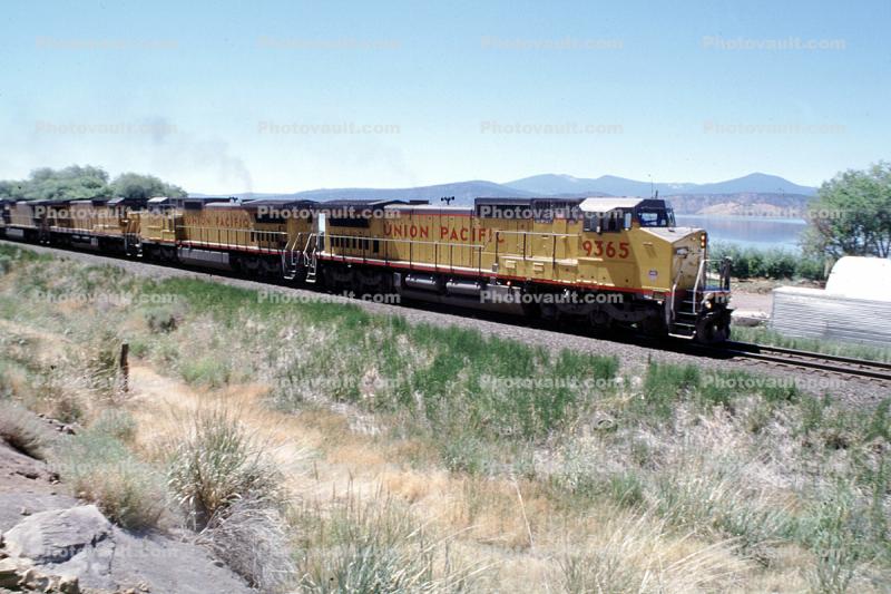 UP 9365, GE C40-8W, Union Pacific, Diesel Electric Locomotive, Klamath Lake
