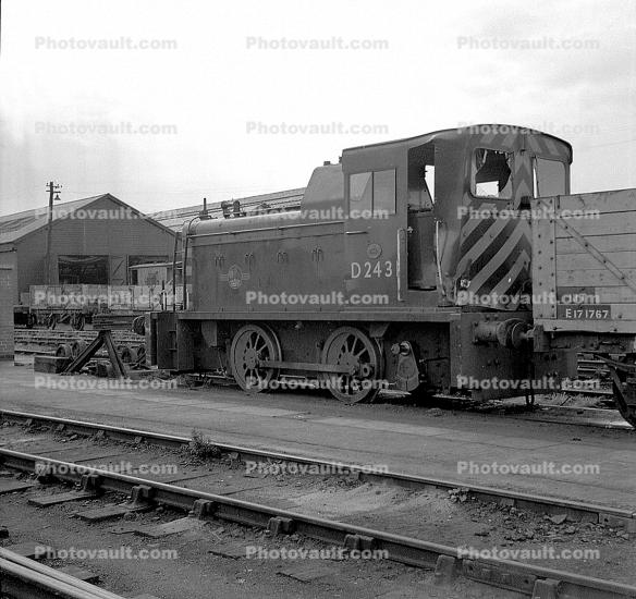 D243 Locomotive, 1950s