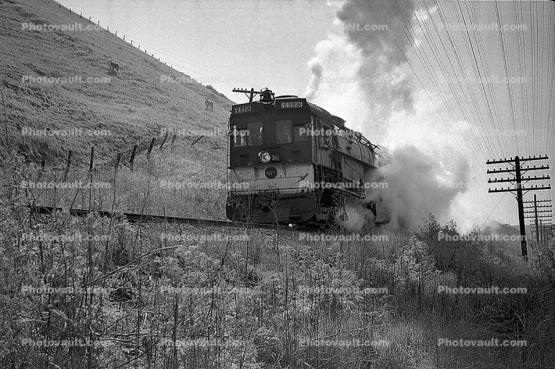 SP 4123, SP AC5 Cab-Forward 4-8-8-2, Southern Pacific, Front Cab, 1940s