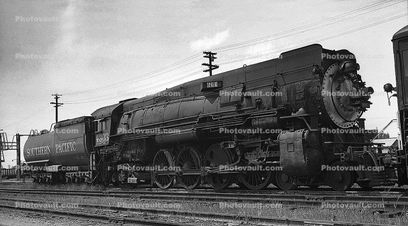 Southern Pacific, SP 4303, 1950s