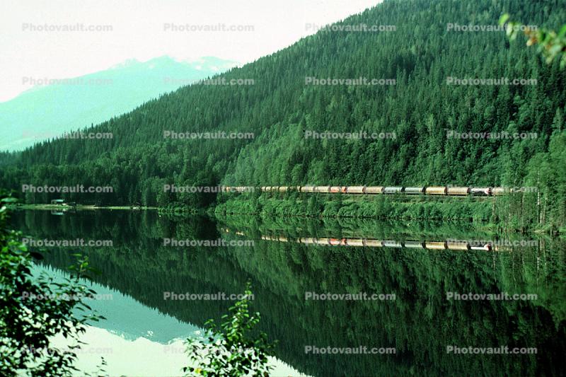 Reflection, River, Lake, Forest