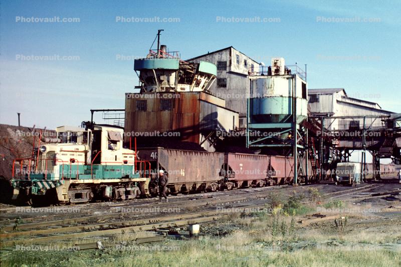 Locomotive #805, Macon County Bee-Veer Mine, Peabody Coal Company, hoppers, 1979, 1970s