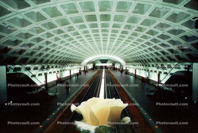 Rose in the Metro, Washington DC, arch