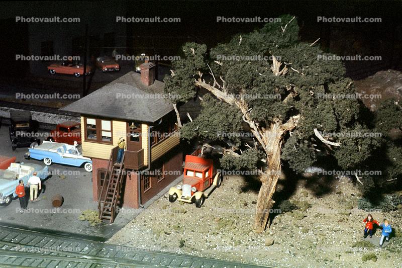 Oak Trees, Cars, 1950s
