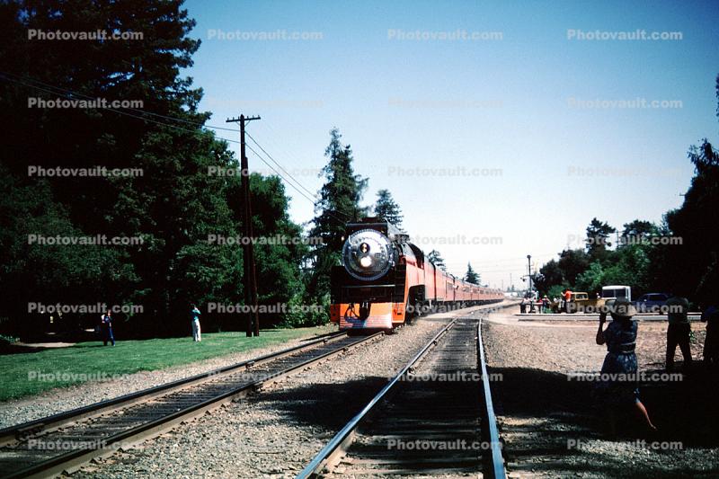 SP 4449, GS-4 class Steam Locomotive, 4-8-4, Southern Pacific Daylight Special, May 1984