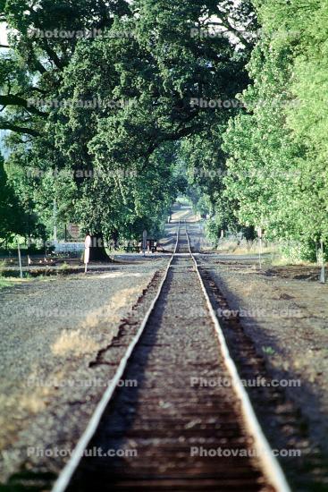 Napa Valley Railroad