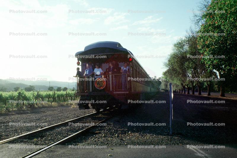 Wine Train, Rear Passenger Car, Napa Valley