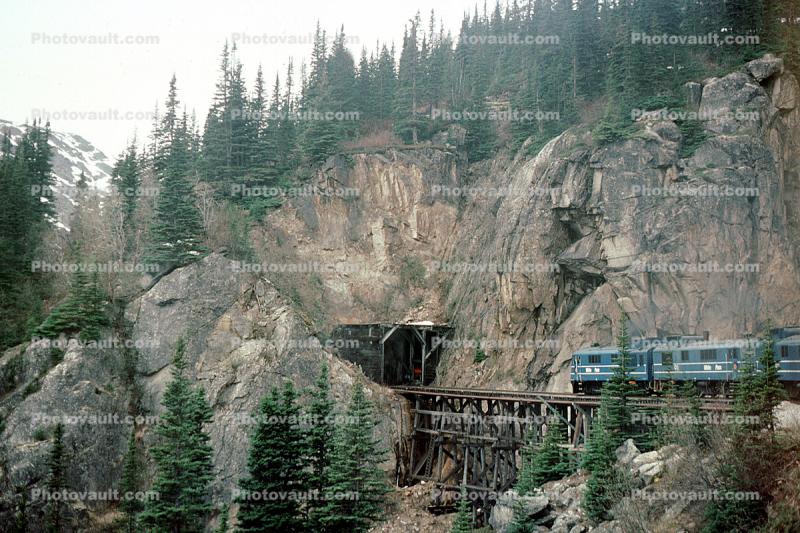 W. P. & Y. R., near White Pass, trestle bridge, forest, White Pass and Yukon Railroad, cliffs, forest