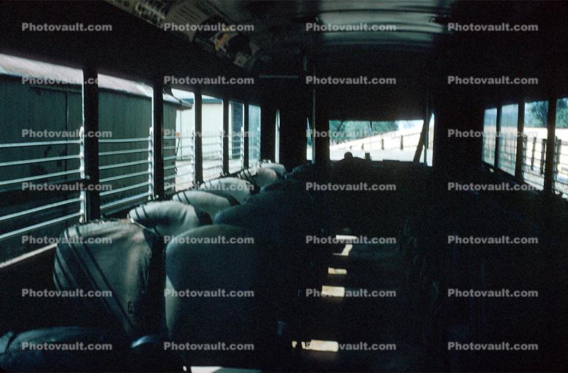 empty seats, Passenger Railcar, 1957, 1950s