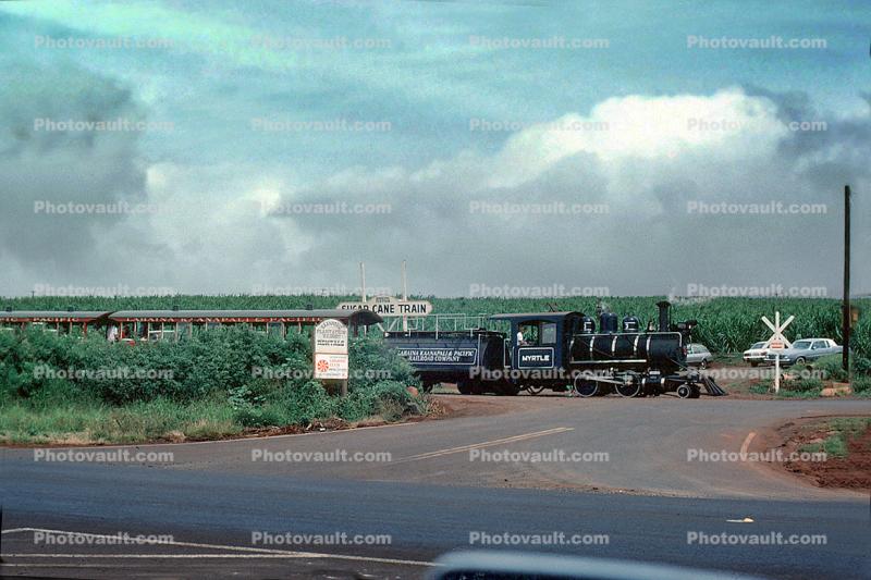 Sugar Cane Train, Myrtle LKRR 3, 2-4-0, Plantation, Lahaina Kaanapali & Pacific Railroad Company, Maui