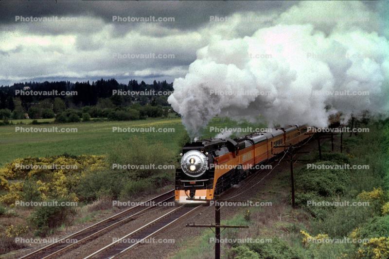 SP 4449, GS-4 class Steam Locomotive, 4-8-4, Southern Pacific Daylight Specia, Turner Road, 1950s