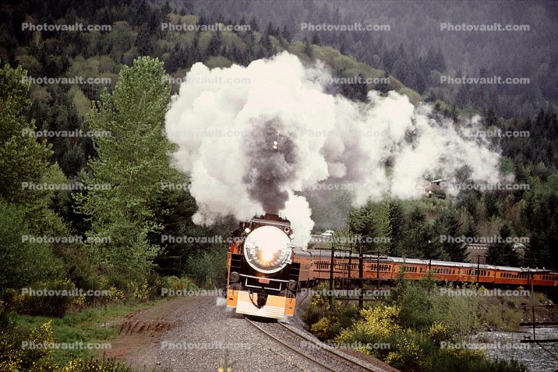 SP 4449, GS-4 class Steam Locomotive head-on, 4-8-4, Southern Pacific Daylight Special, Minnow Creek trainset