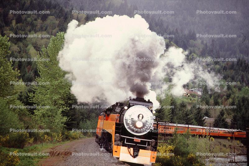 SP 4449, GS-4 class Steam Locomotive, 4-8-4, Southern Pacific Daylight Special, Minnow Creek