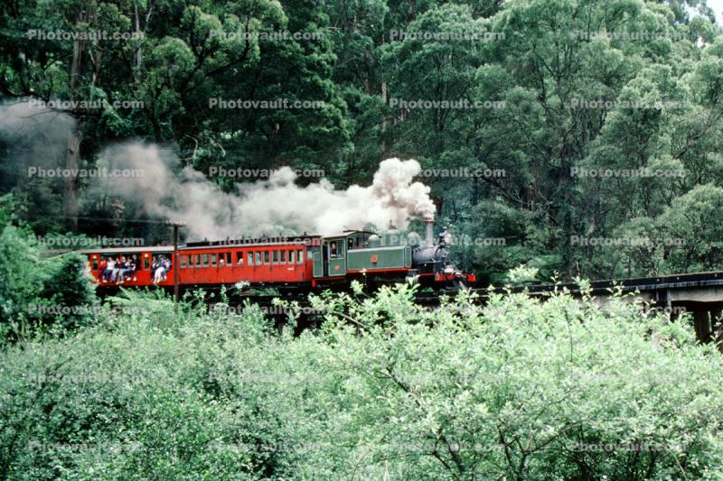 Forest, trees, NA class 2-6-2T, steamer on a trestle, locomotive 7A, Puffing Billy steam railway, Melbourne, Australia, Victorian Railways, 1956, 1950s
