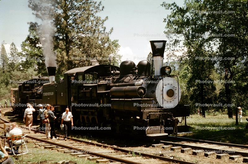 Feather River Railway, Shay #2, class C Shay, June 1963
