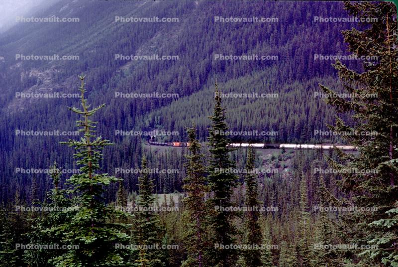 CP Rail, Spiral Tunnel near Field, Forests, Trees