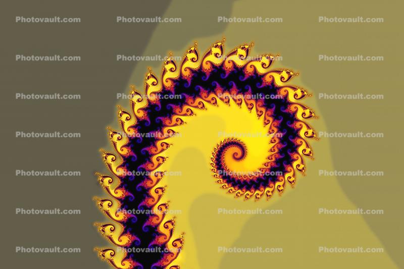 Spiralistic Conflageration of Zids Spiral, Octopus Arm