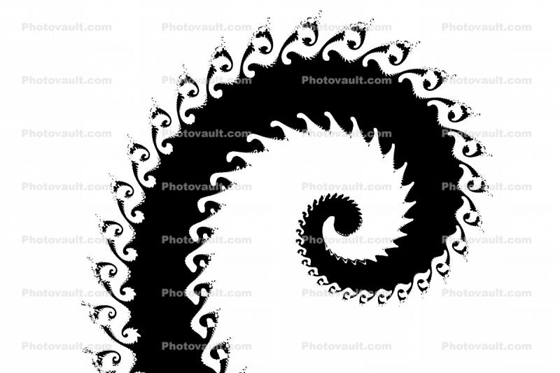 Octopus Arm, Spiral