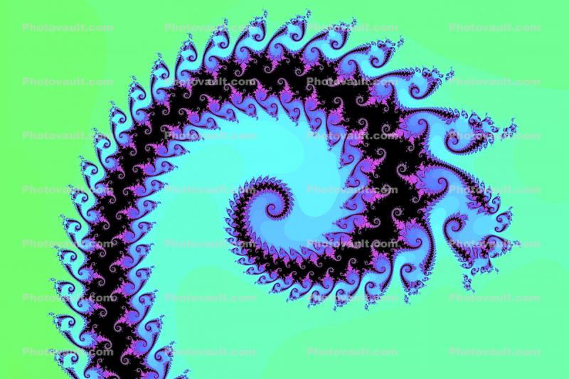 Octopus Arm, Pretty Spiral, Spiral