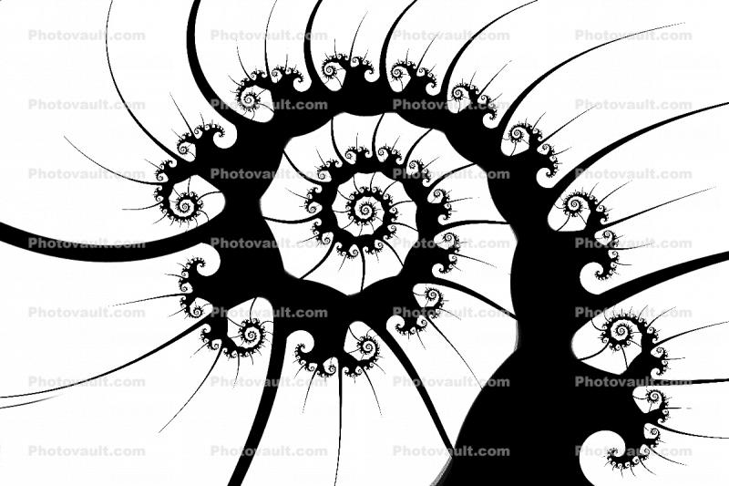 Spikey Wheel, Spiral silhouette, shape, logo