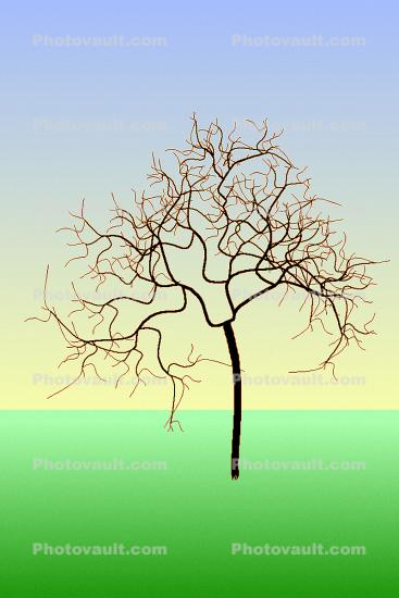 Lone Bare Tree