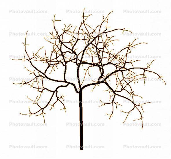 Fractal Bare Tree
