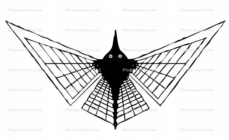 Doodle Bug, Flying, Flight of the Mathematical Butterfly