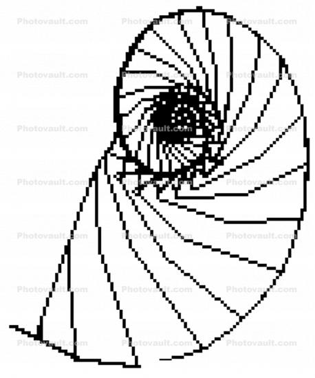 spiral, Nautilus Shell