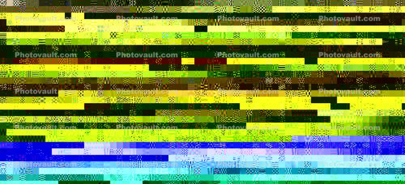 Digiart from the recesses of the wild open wilderness of the Digimanation