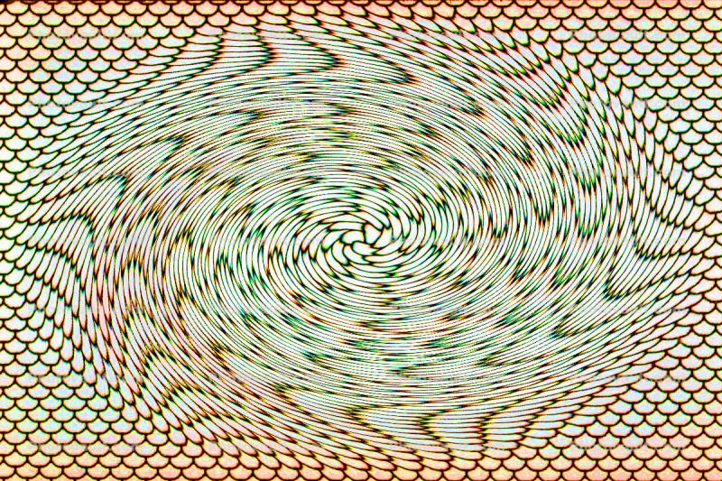 fish scales of pattern into a spiral
