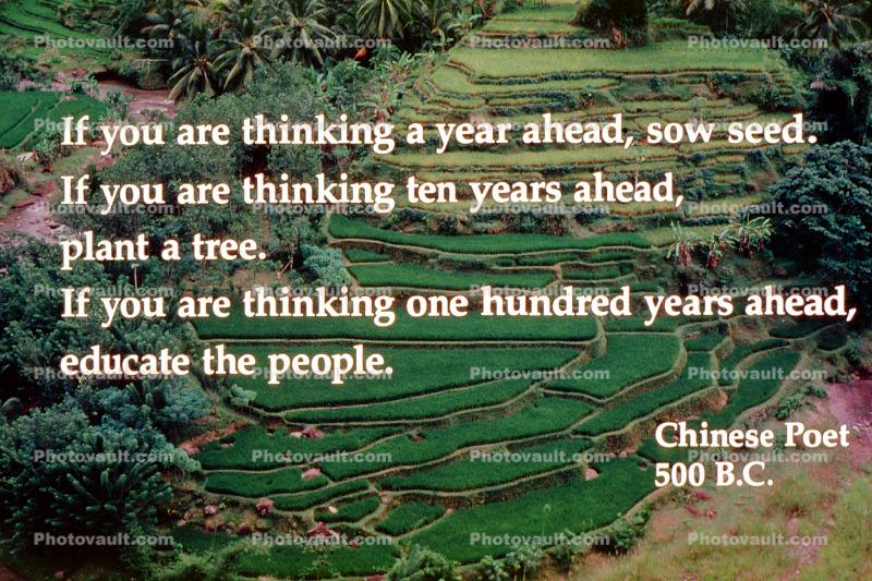 If you are thinking a year ahead . . . . , Photo-quote