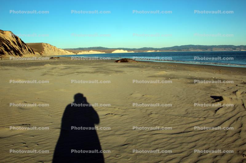Shadow on the beach, Drakes Bay, shore, shoreline, coast, coastal