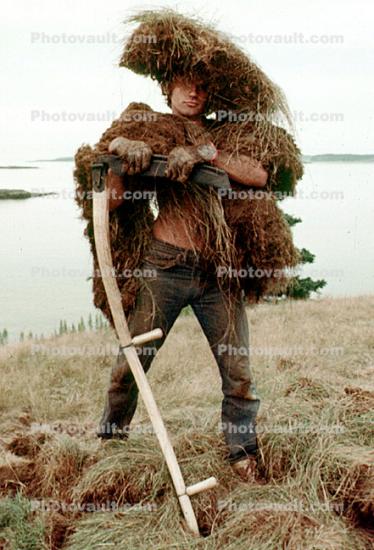 Dirt Man Dawg, Bear Island, Penobscot Bay, Maine, 1975, 1970s