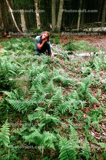 Roque Island, 1975, Fern Forest and a dawg, 1970s