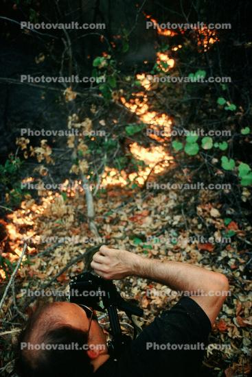photographing a forest fire, northern california, 1992