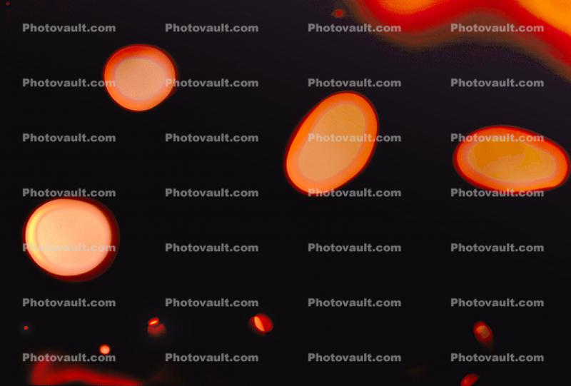 Orange Dots in a Black Field