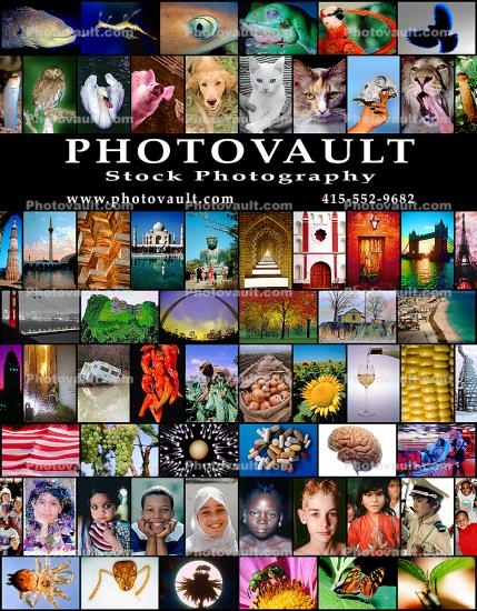 Grid of Photovault Images, Wernher Krutein Photography, Photovault
