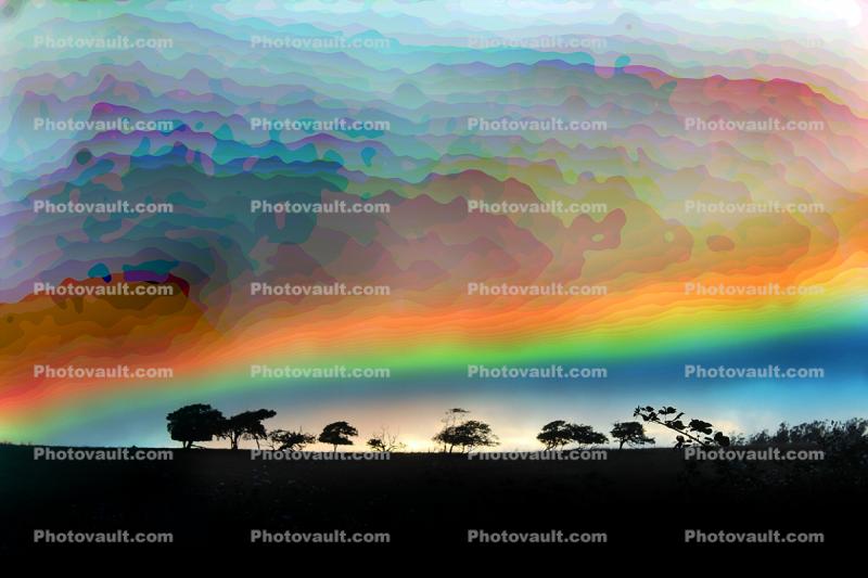 Stratified Sky in Color Dilineations, contour, trees