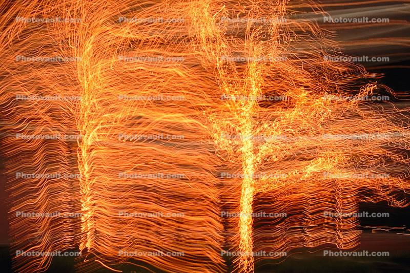 Abstract, Lights, Trees, Wiggly Wag of light