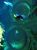 Underwater Portholes, AAAD01_003