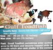 Gulf Toadfish (Opsanus beta), Batrachoidiformes, Batrachoididae, AAAD01_073
