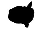 Oceanic Sunfish silhouette, (Mola mola), Tetraodontiformes, Molidae, logo, shape, AAAD01_174M