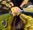 Creatures of Fantasy, Long Nosed Butterflyfish, Abstract Art, Fantasy, Surreal, Paintography, sea creature, Psychedelic, AAAD02_224