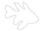 Orbiculate Cardinalfish, (Apogon orbicularis) outline, Perciformes, Percoidei, Percoidea, Apogonidae, line drawing, shape