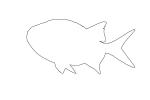 Menpachi Squirrelfish outline, (Myripristis argyromus), Holocentridae, soldierfishes, line drawing, shape, AAAV02P05_12O