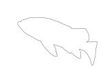 Rockfish, Outline, line drawing, shape, AAAV03P01_14O