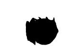 Shaw's Cowfish silhouette, (Arcana aurita}, logo, shape