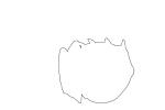 Shaw's Cowfish (Arcana aurita} Outline, line drawing, shape